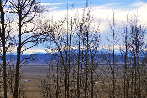 Blog Pic 8b