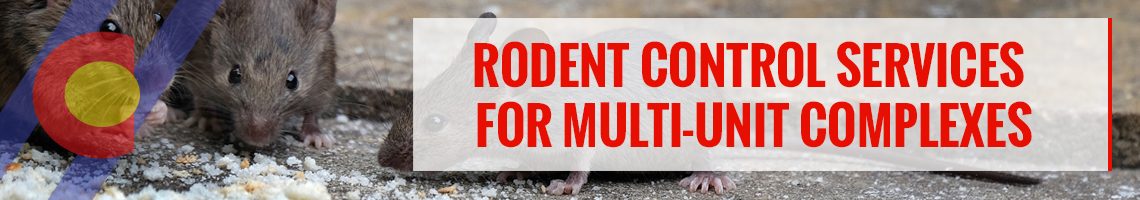 Rodent control services for multi-unit complexes in Denver