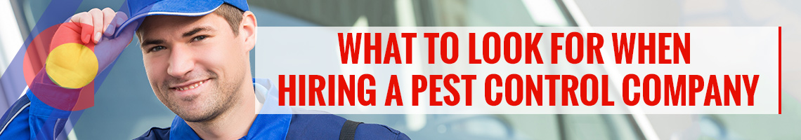 What to look for when hiring a pest control company