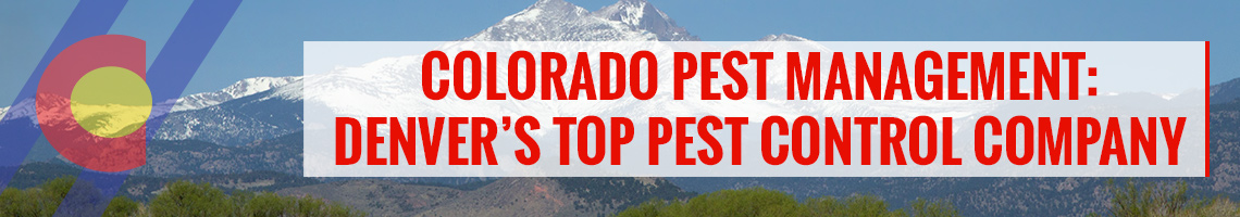 Coloradp Pest Management is Denver's top-rated pest control company