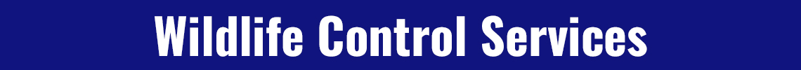 Wildlife control services in Littleton