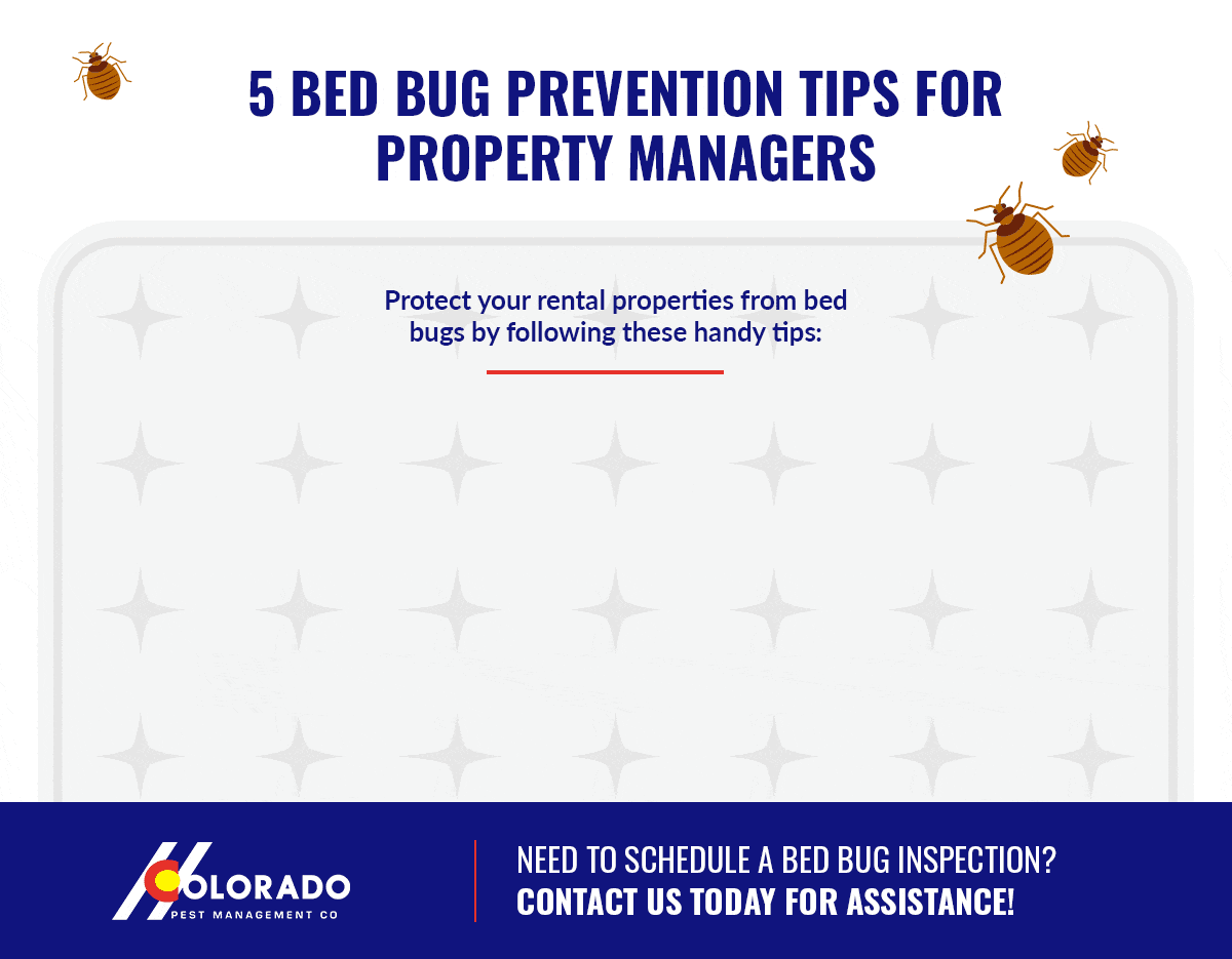 M10876-Colorado-Pest-Management-Inc-5-Bed-Bug-Prevention-Tips-for-Property-Managers-2-617311af098e5