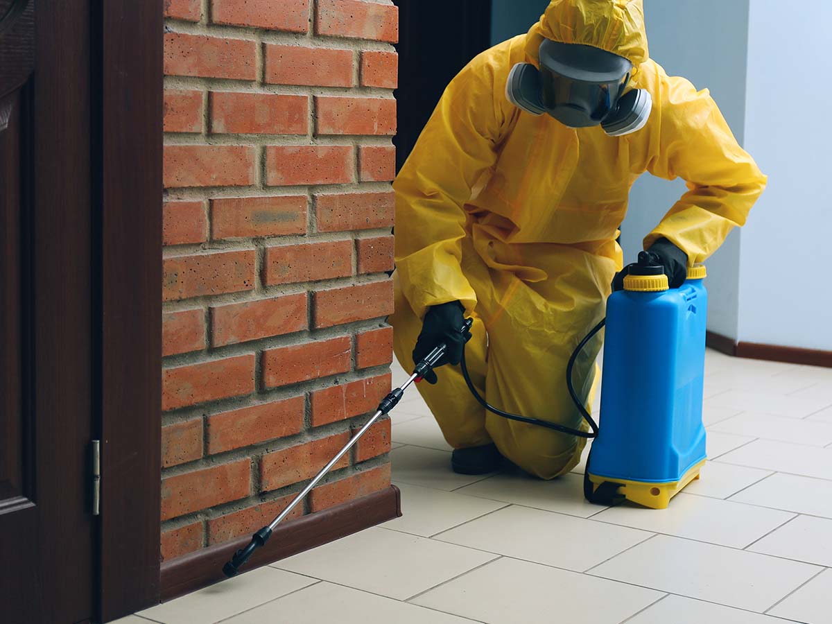 Pest control worker in protective suit spraying pesticide indoors at base of front door