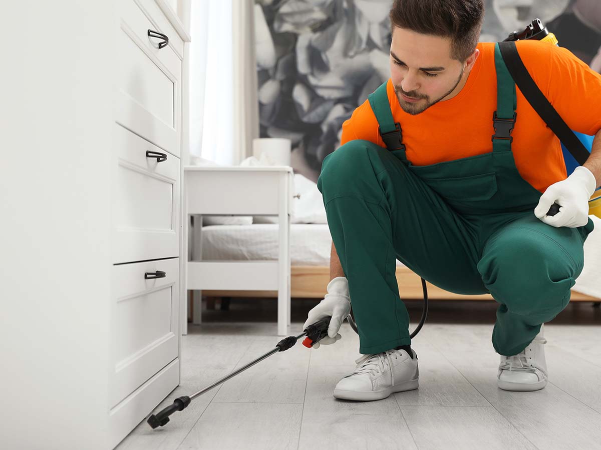 Pest control worker spraying insecticide near chest of drawers indoors