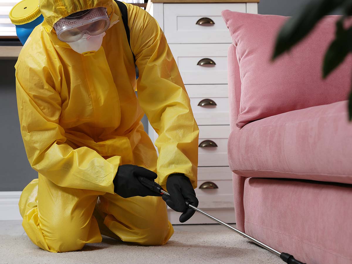 Pest control worker in protective suit spraying insecticide under sofa at home